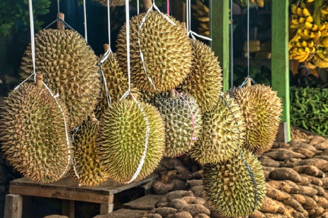 Daftar Harga Durian Utuh