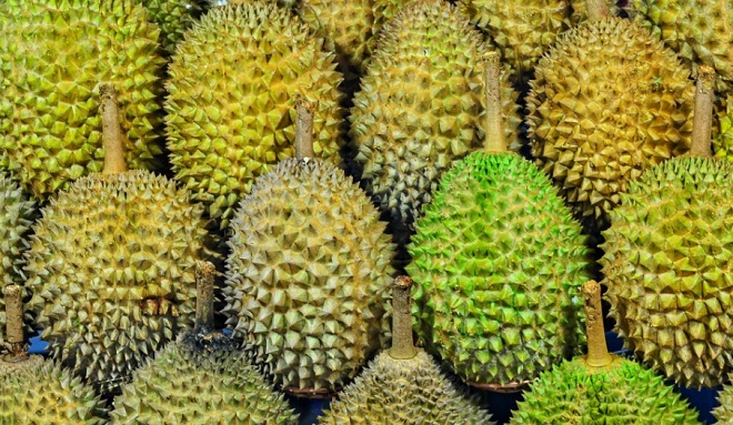 Harga Durian Pinggir Jalan